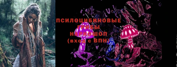 гидропоника Надым