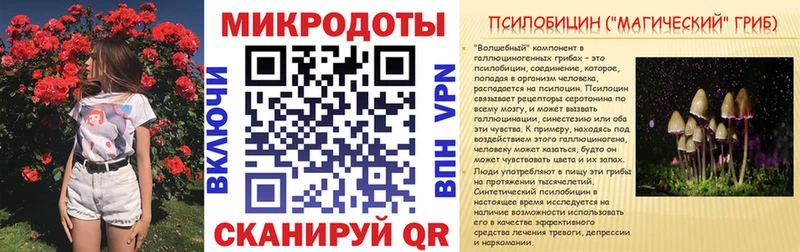купить   Шилка  Псилоцибиновые грибы Psilocybine cubensis 
